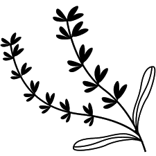 images (3) (1).png (7 KB)